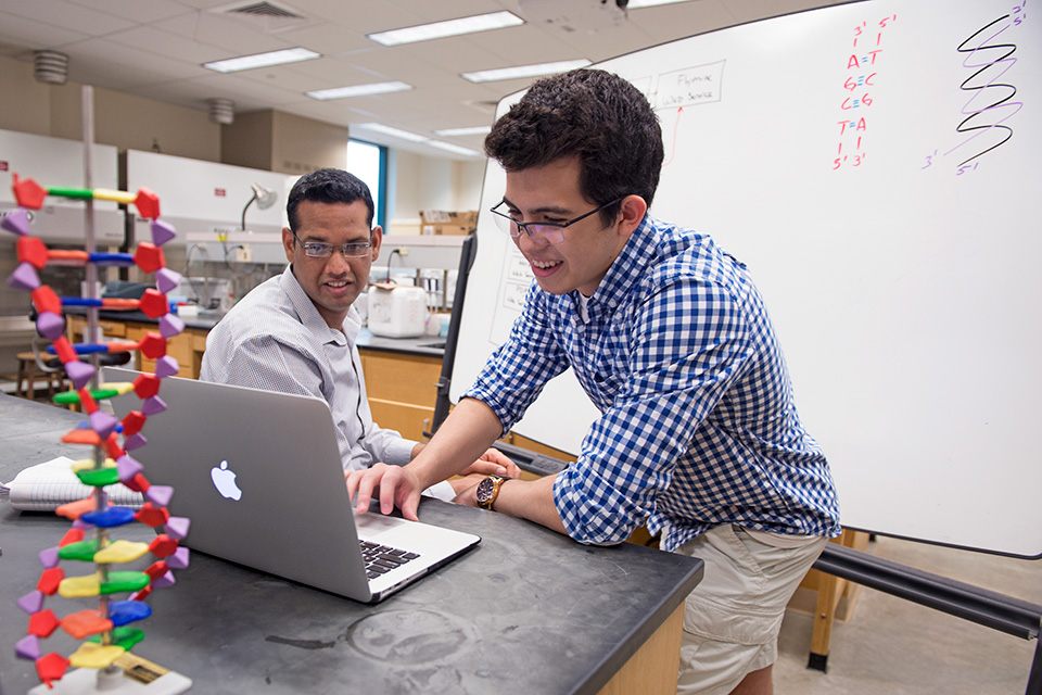 Honors sophomore Basheer Becerra with his University Scholars faculty mentor, Dr. Saripalle